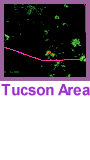 Tucson area