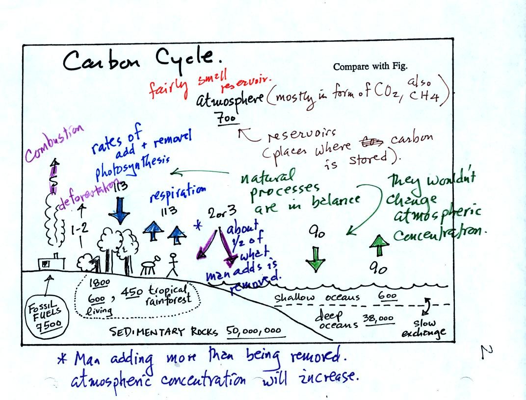 carbon cycle