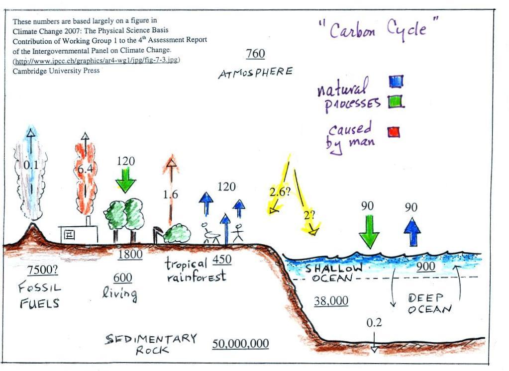 carbon-dioxide-in-the-atmosphere