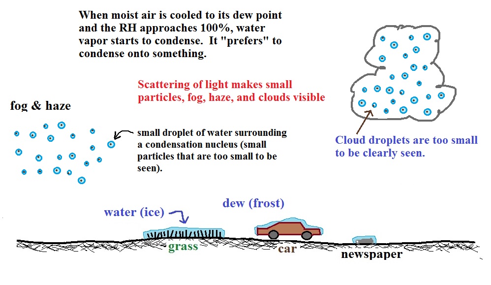 Autumn and condensation: the dew point