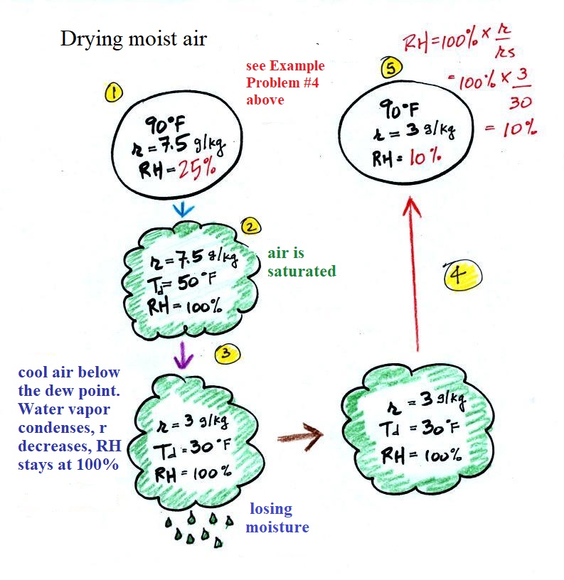 Autumn and condensation: the dew point