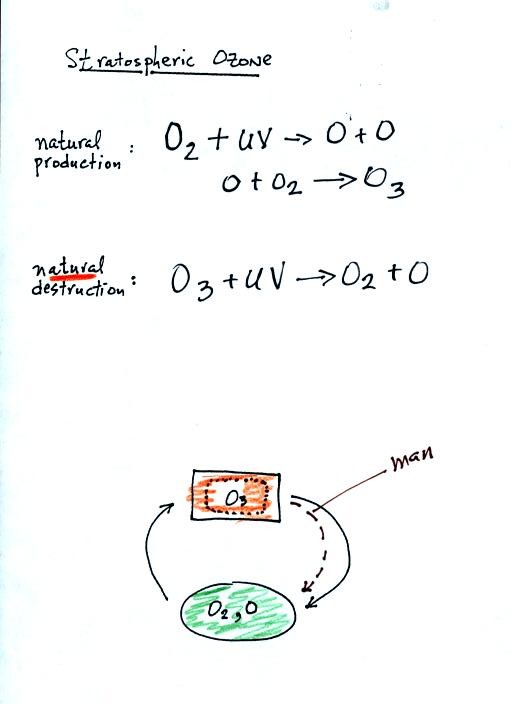 natural formation and destruction of stratospheric ozone