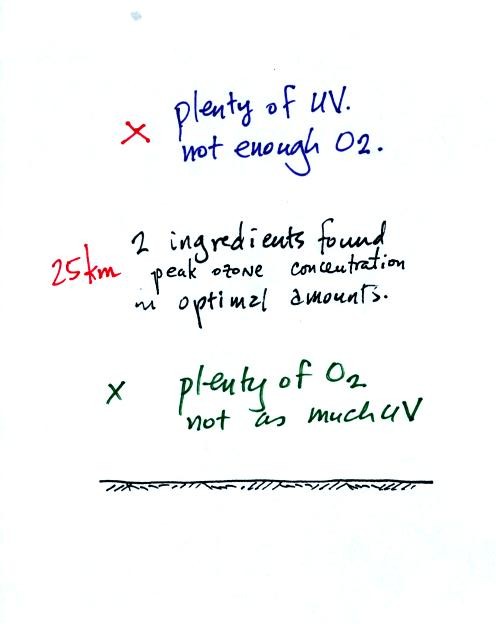 Peak ozone concentrations are found near 25 km altitude