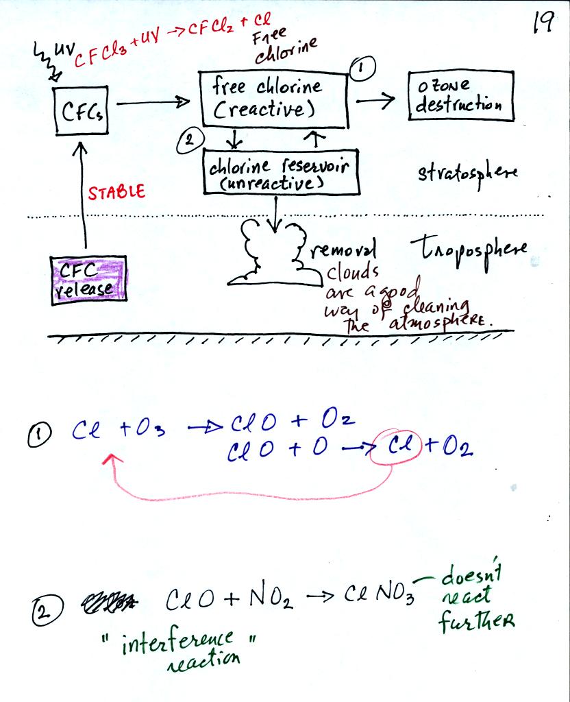 processes affecting stratospheric ozone concentrations