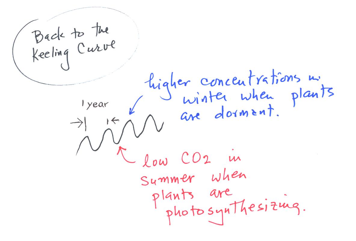 high and low atmospheric carbon dioxide occur in the winter and summer