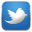 Twitter follow us icon